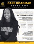 Kennesaw State University CARE RoadMap: Level 2