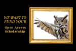 Open Access Publishing Fund