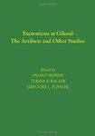 Excavations at Gilund: The Artifacts and Other Studies by Vasant Shinde, Teresa P. Raczek, and Gregory L. Possehl