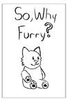 So, Why Furry?
